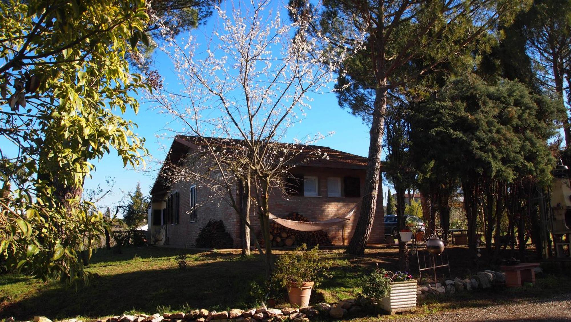 Agriturismo La Terra Valiano Dış mekan fotoğraf
