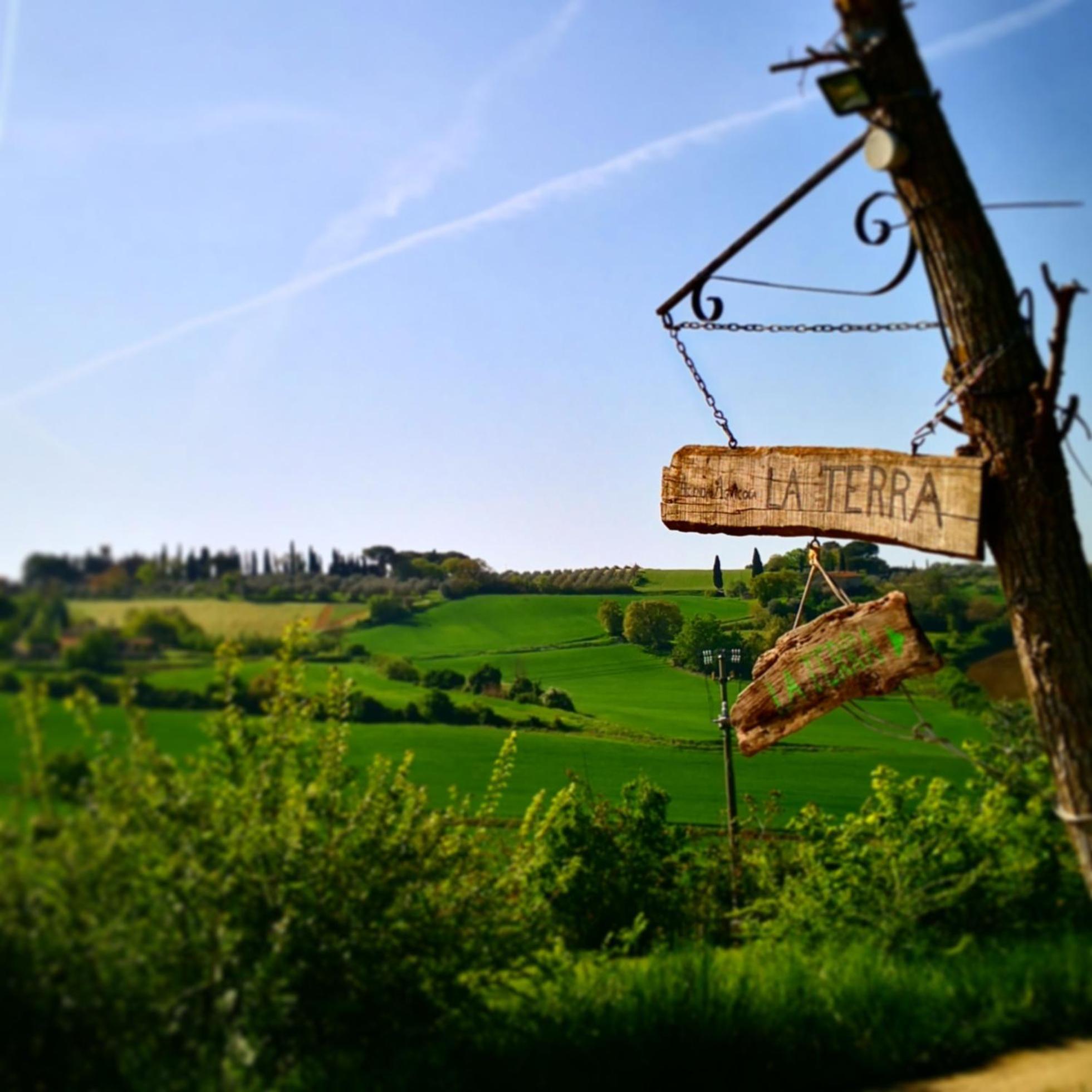 Agriturismo La Terra Valiano Dış mekan fotoğraf