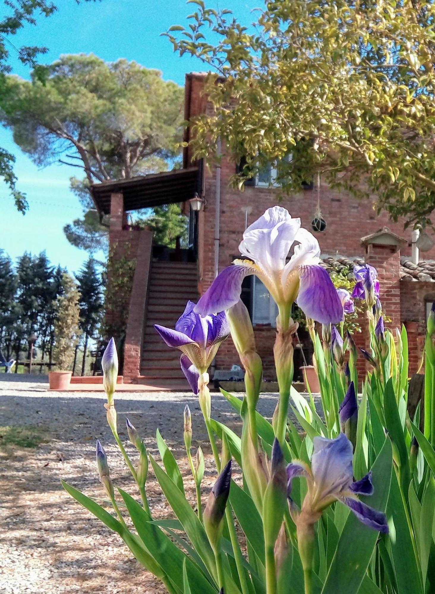 Agriturismo La Terra Valiano Dış mekan fotoğraf