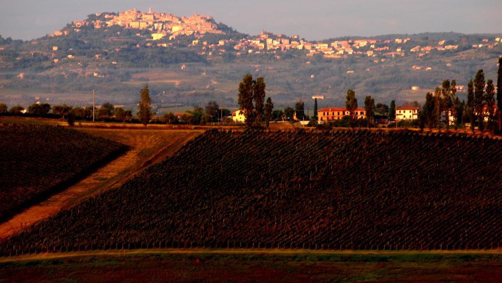 Agriturismo La Terra Valiano Dış mekan fotoğraf
