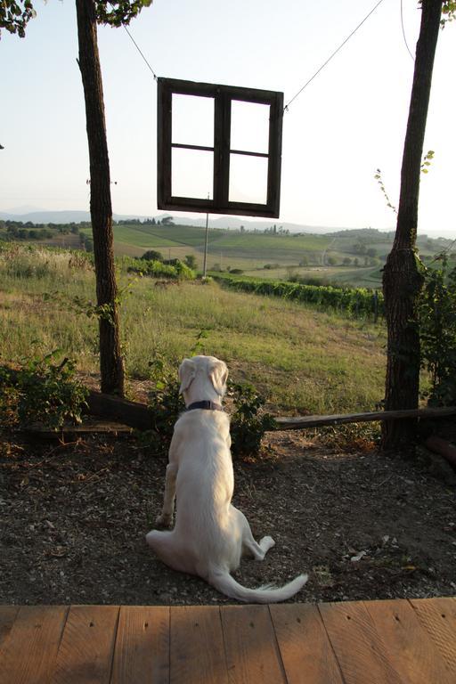 Agriturismo La Terra Valiano Dış mekan fotoğraf